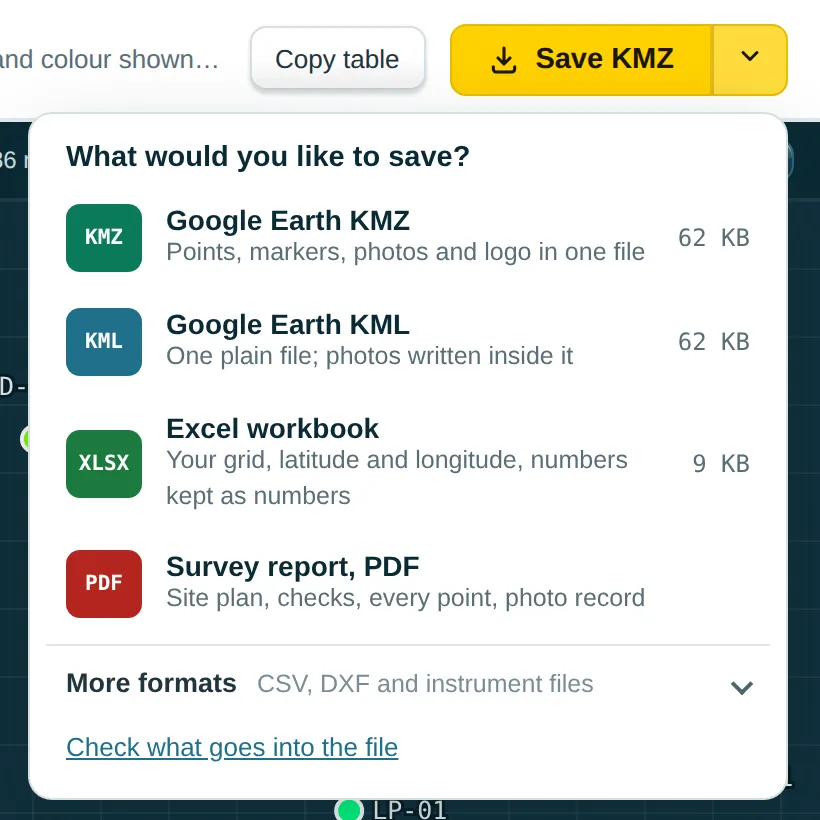 Save menu: Google Earth KMZ, Google Earth KML, Excel workbook, Survey report PDF and more formats